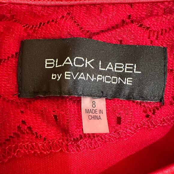 Black Label by Evan Picone Short Knee Length Lace Dress 8 Tradwife Twee Feminine - Picture 9 of 16